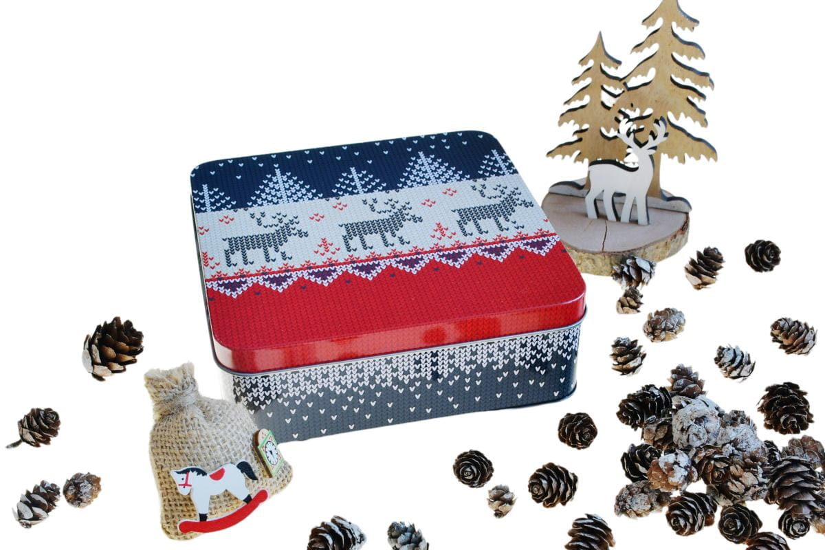 Boîte cadeau de Noël avec motifs de rennes, disposée de manière décorative en présentation festive